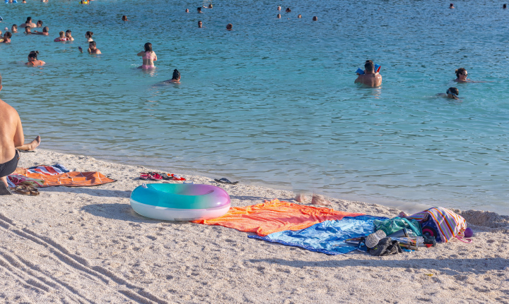 Swimming in the Sea, pebble beach