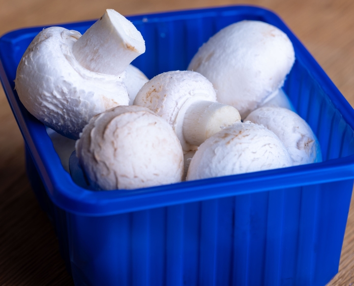 White mushrooms in a plastic container free picture