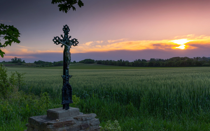 Old Cross between agricultural fields