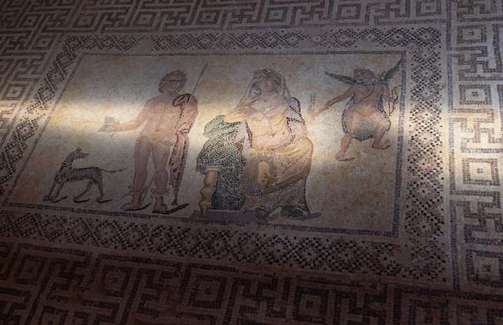 Antique Mosaics in Paphos
