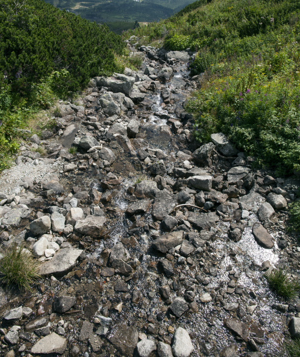 Mountain Stream