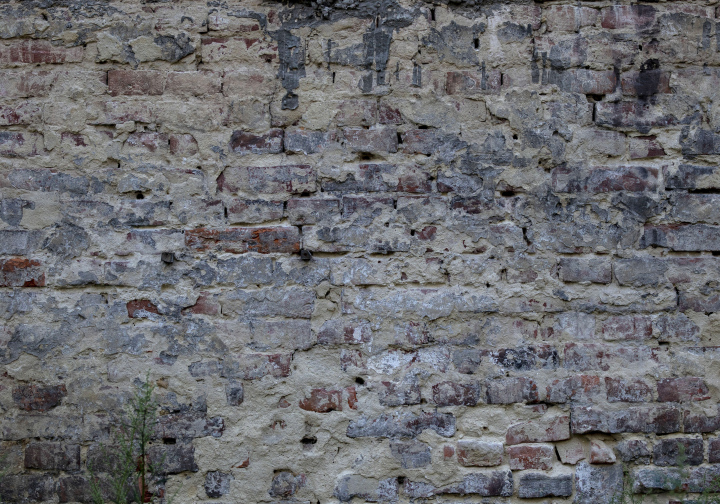 Brick Wall with Remains of Plaster