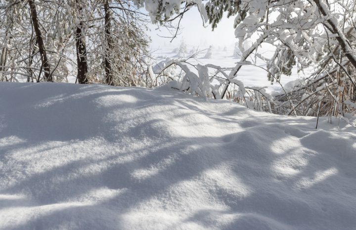 January Snowfall, winter