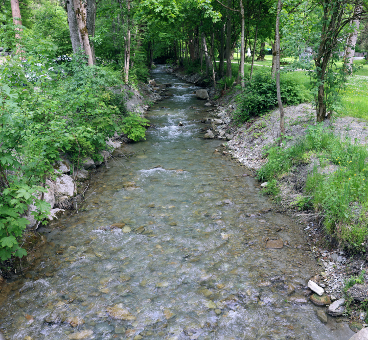 Mały Potok, a river with overgrown banks.