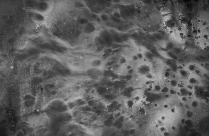 Dirty Stains. Spilled liquid, free background.