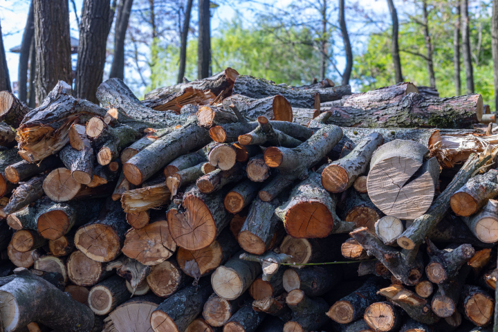 Firewood for Winter