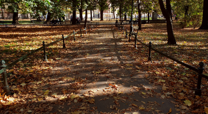 Autumn in the Park