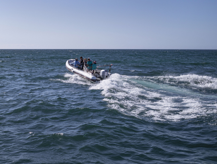 Motorboat in the Sea