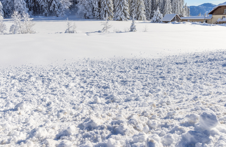 Scattered snow in a forest clearing