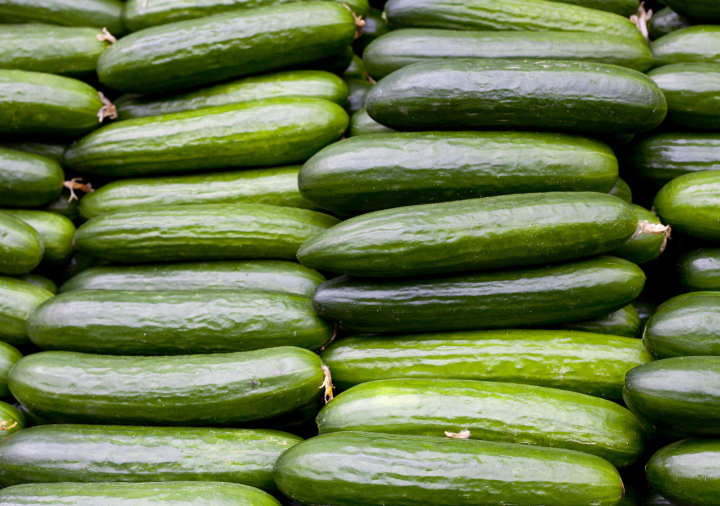Equal Green Cucumbers On Exposure