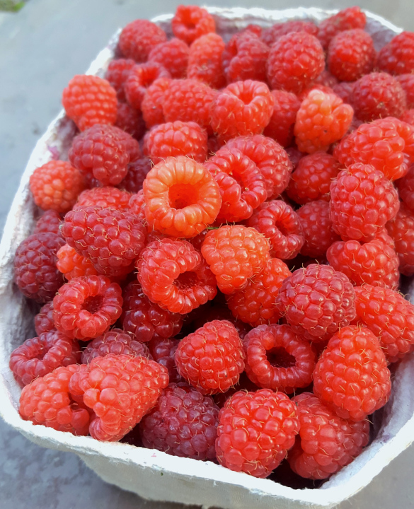 Raspberries in a cardboard container