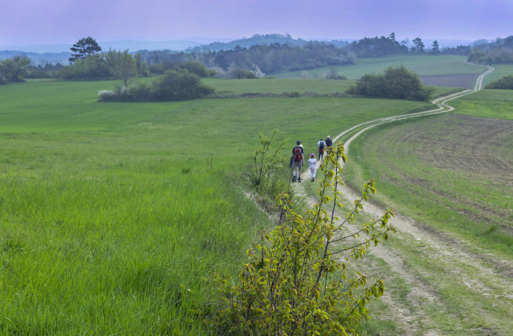 Family trip, walking trip
