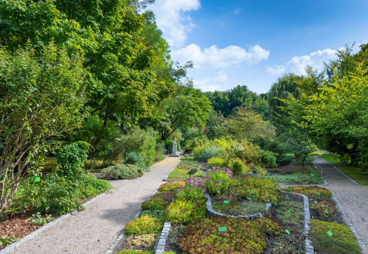The Botanical Garden in Wrocław