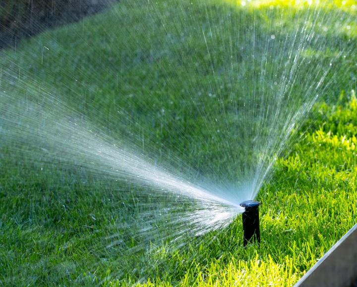 Watering in the Garden. Garden Sprinkler.