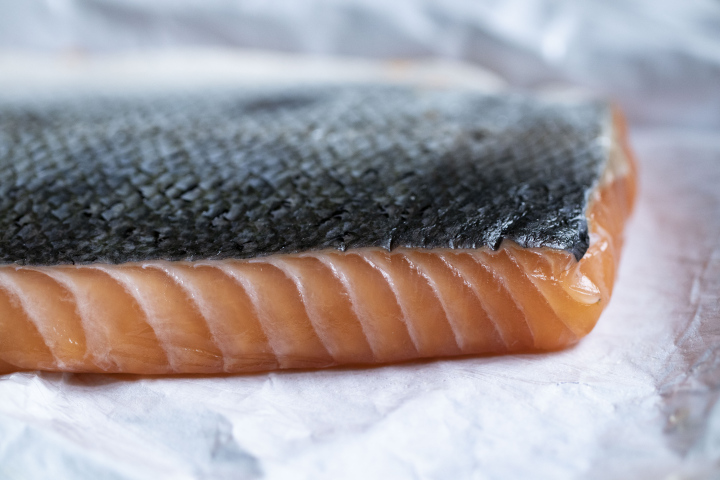 Salmon fillet with skin