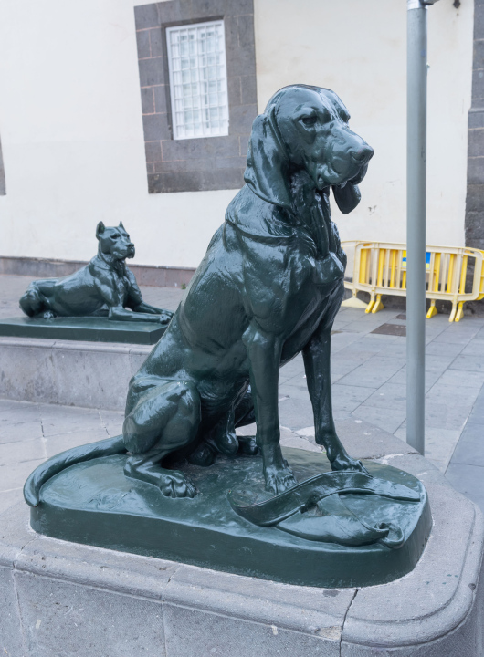 Dogs in front of the Cathedral of Las Palmas, sculptures.