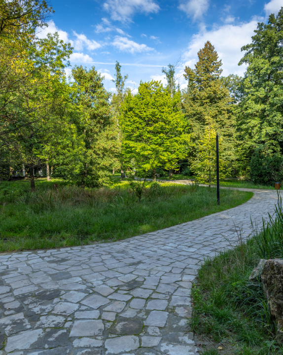 A winding alley in the Silesian Park