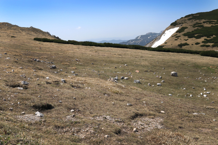Raw Mountain Landscape
