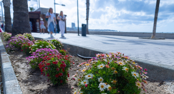 Main Promenade in Paphos