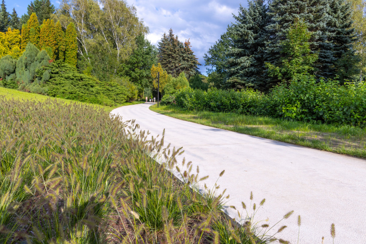 Chorzów, walking path in the Silesian Park