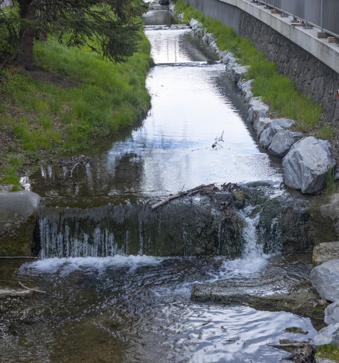 A river with regulated banks