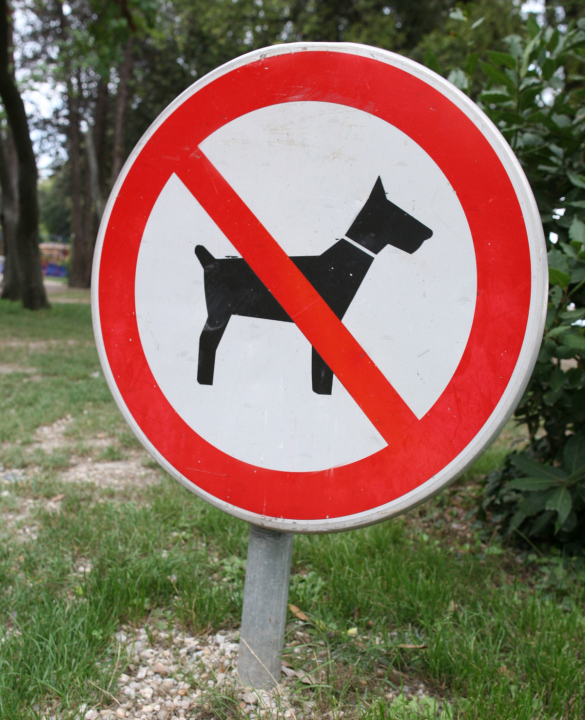 Dogs Entry Forbidden