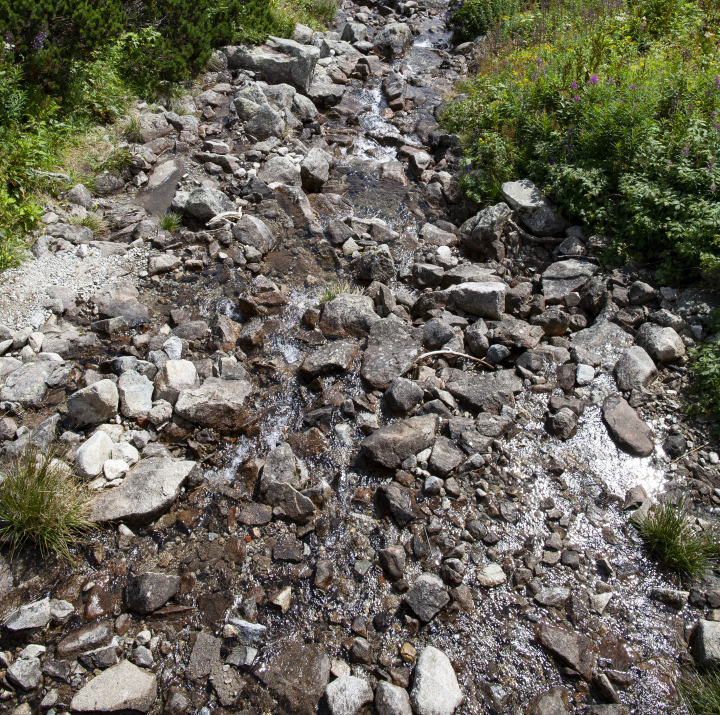 Stream In The Mountains