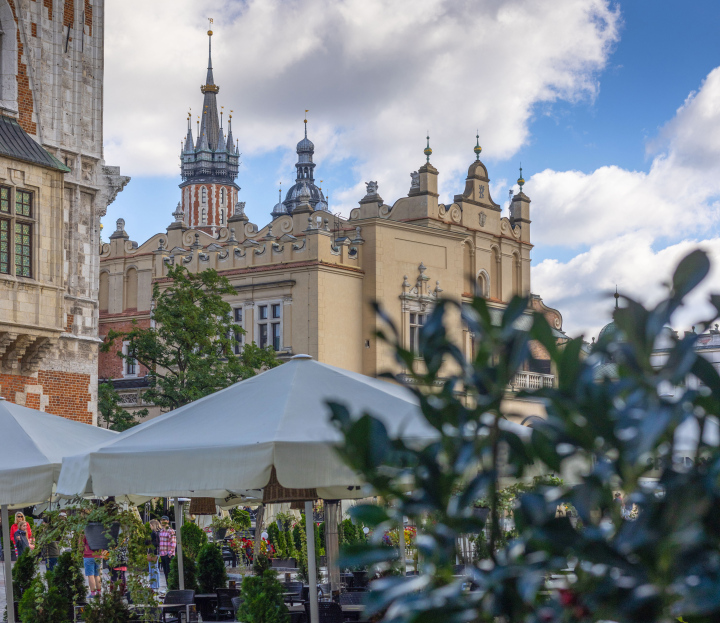 Restaurant and cafe gardens in Krakow
