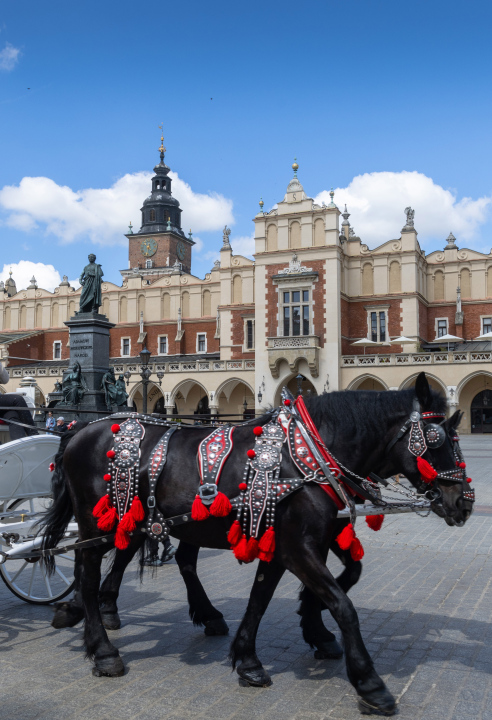 Horses pulling a carriage, Market Square in Krakow