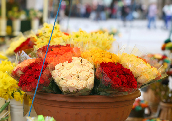 Florists at the Market Square in Krakow