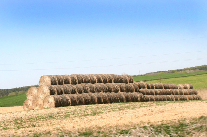 Straw Field