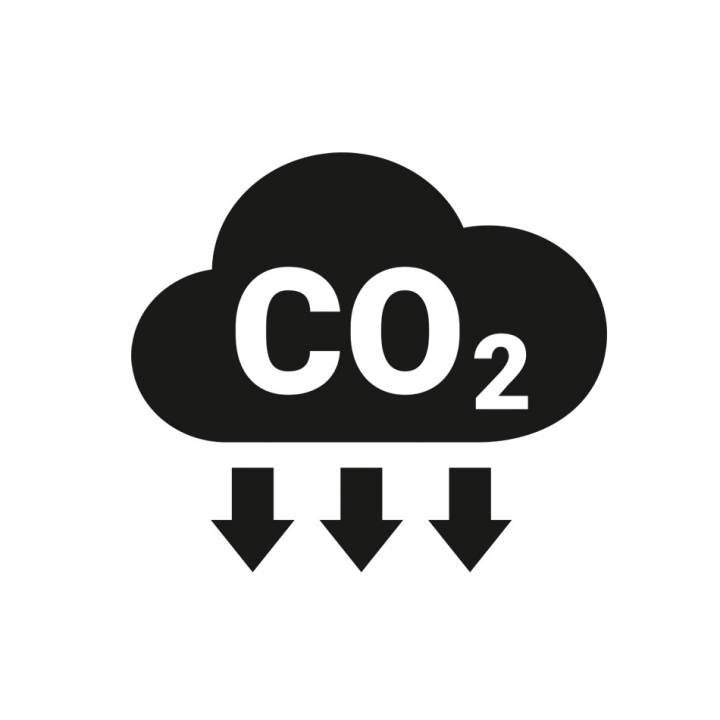 CO2 icon, vector