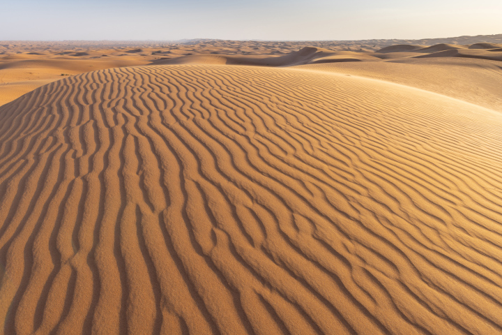 Sandy Desert