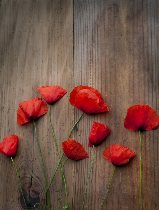 Red Poppies On A Wooden Background