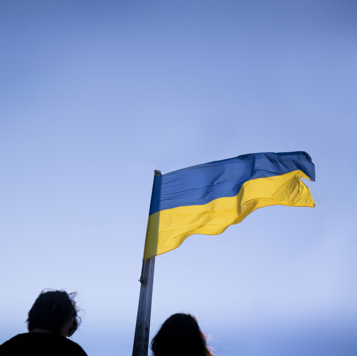 People from Ukraine under the National Flag