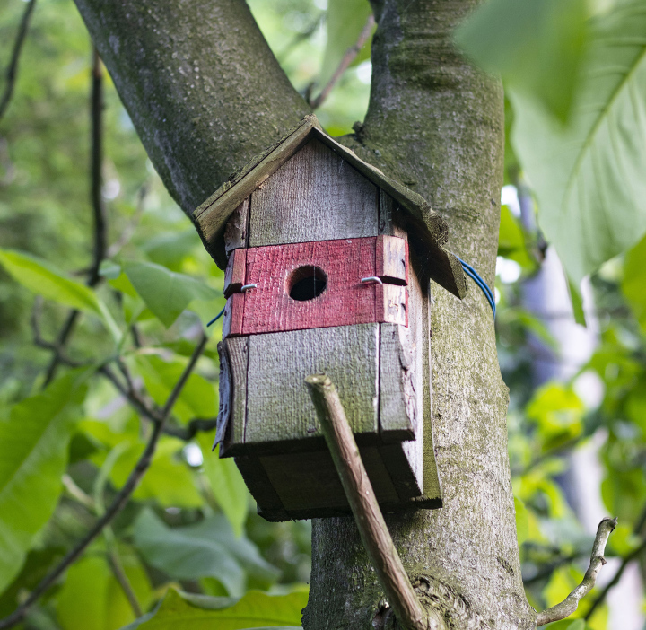 Birdhouse