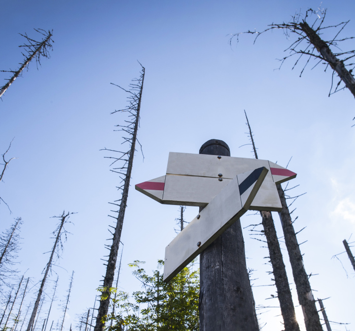 Signposts On the Trail