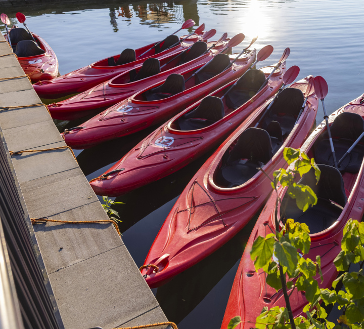 Red Kayaks in the Rental
