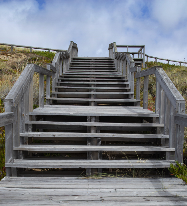 Wooden stairs with handrails - free image