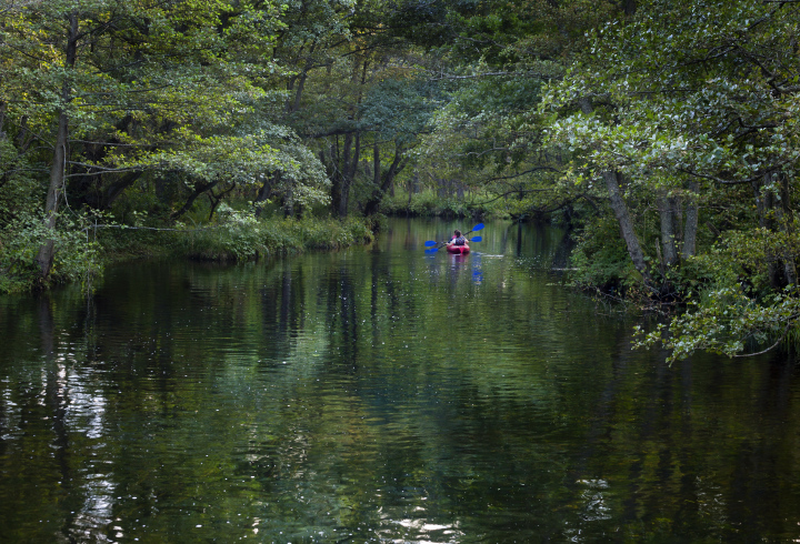 Expedition by canoe in the river