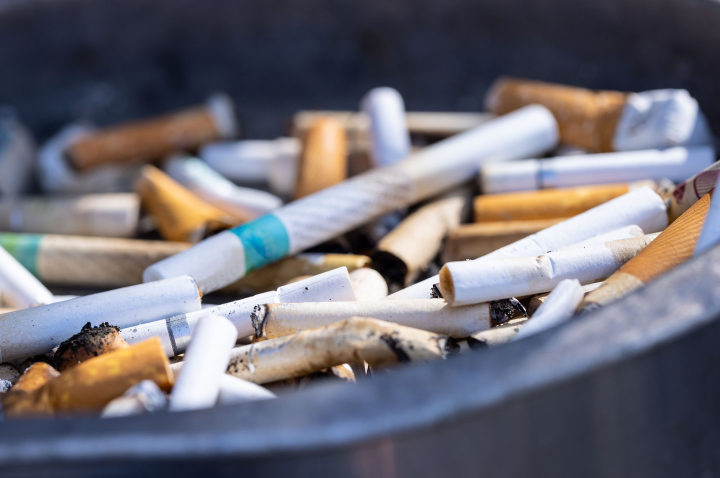 Cigarette butts