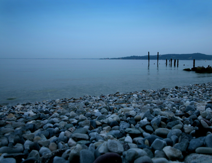 Shore of the lake