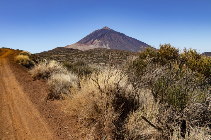 Teide volcano peak in Tenerife
