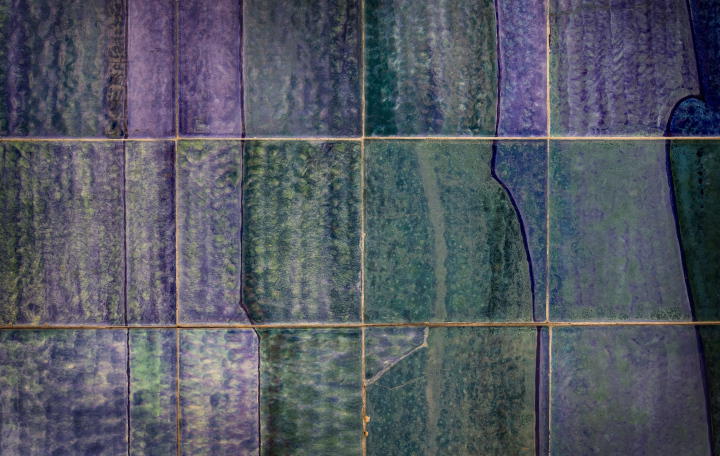 Navy Blue and Violet Ceramic Tiles