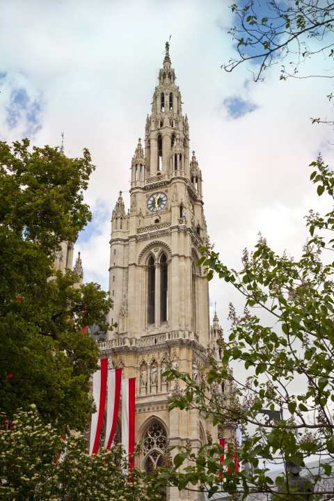 Town Hall in Vienna