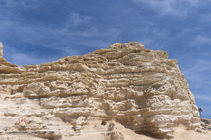 Sedimentary Rocks