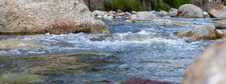 Stones in the River