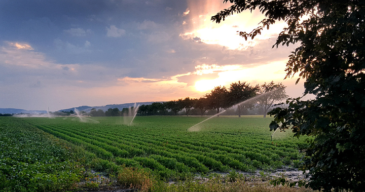 Irrigation of Agricultural Crops