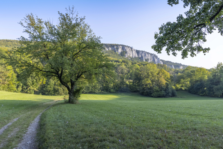 Peilstein Rocks in the Wienerwald Austria