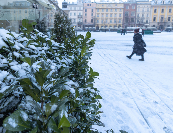 Winter on the Market Square in Krakow